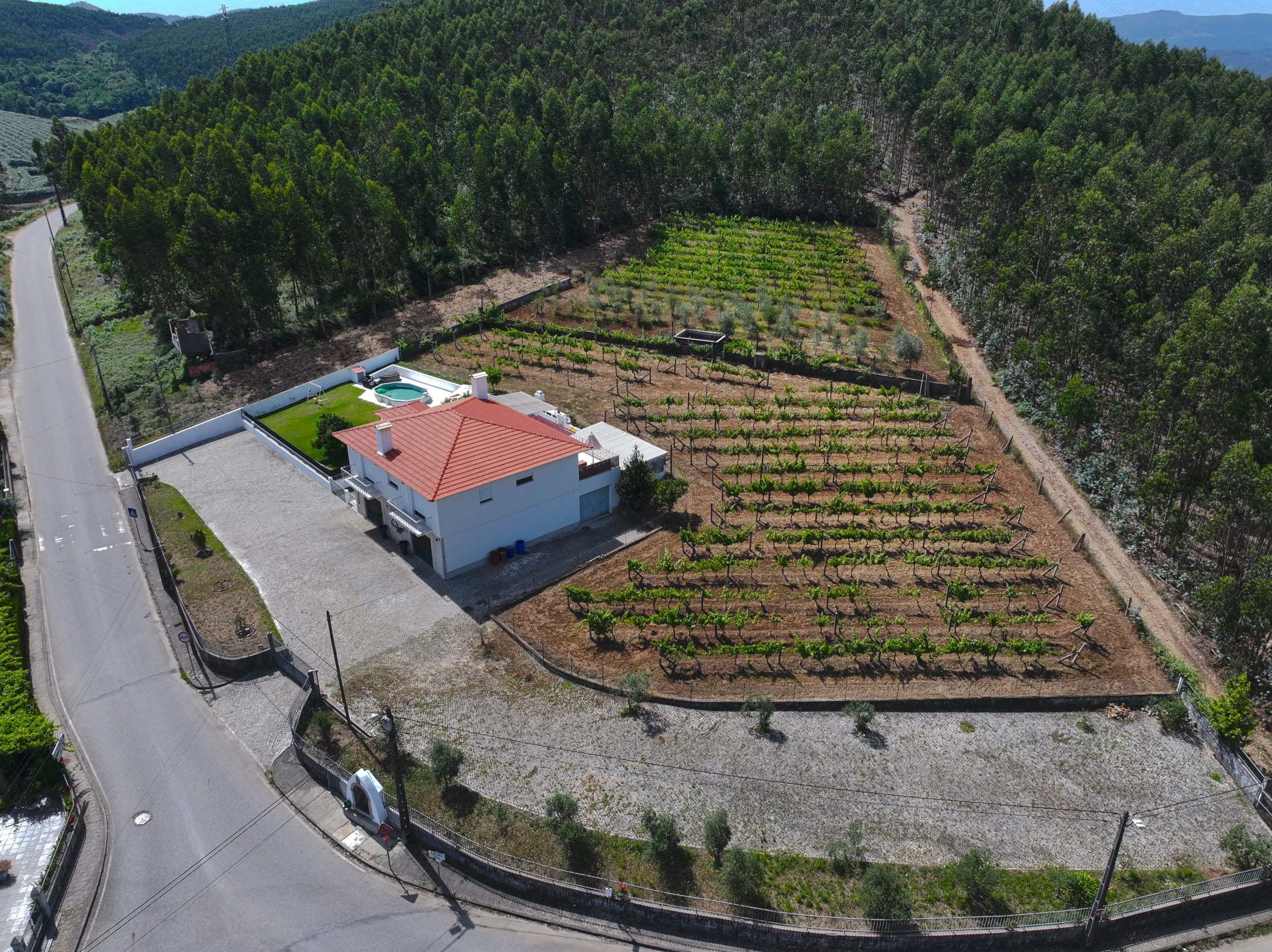Vista aérea da Quinta do Valinho rodeada por vinhas e campo