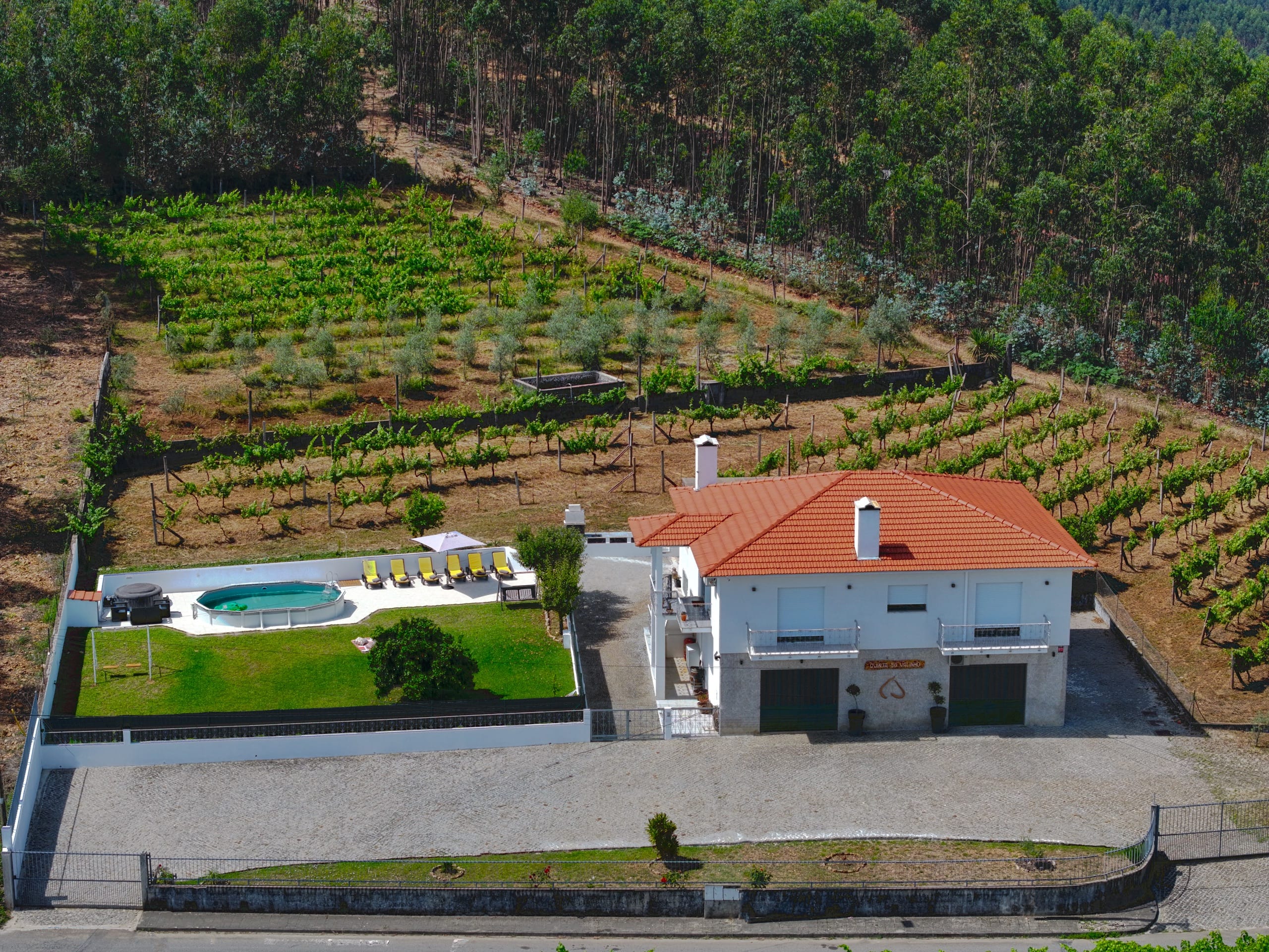 Vista aérea da Quinta do Valinho rodeada por vinhas e campo