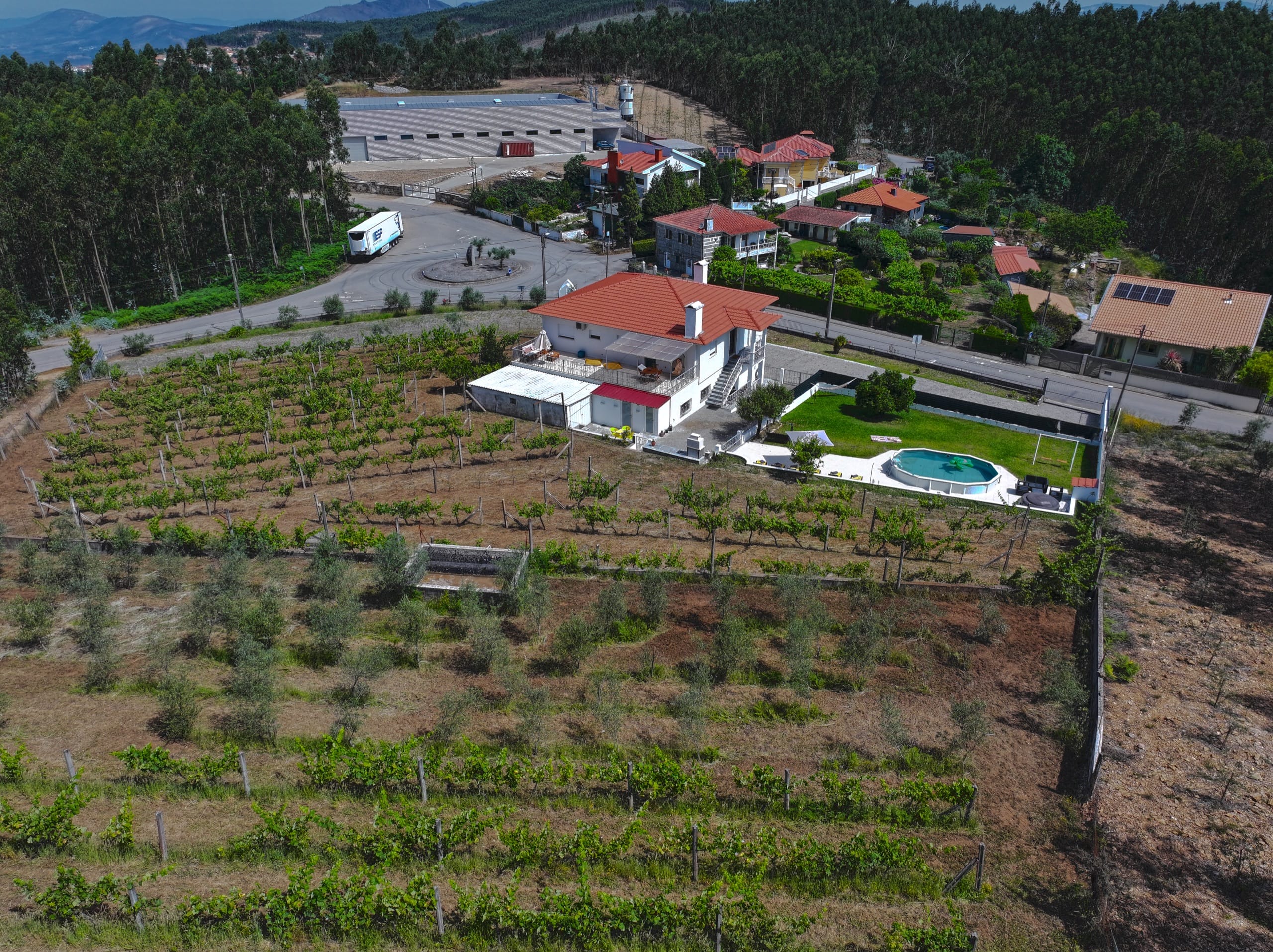 Vista aérea da Quinta do Valinho rodeada por vinhas e campo