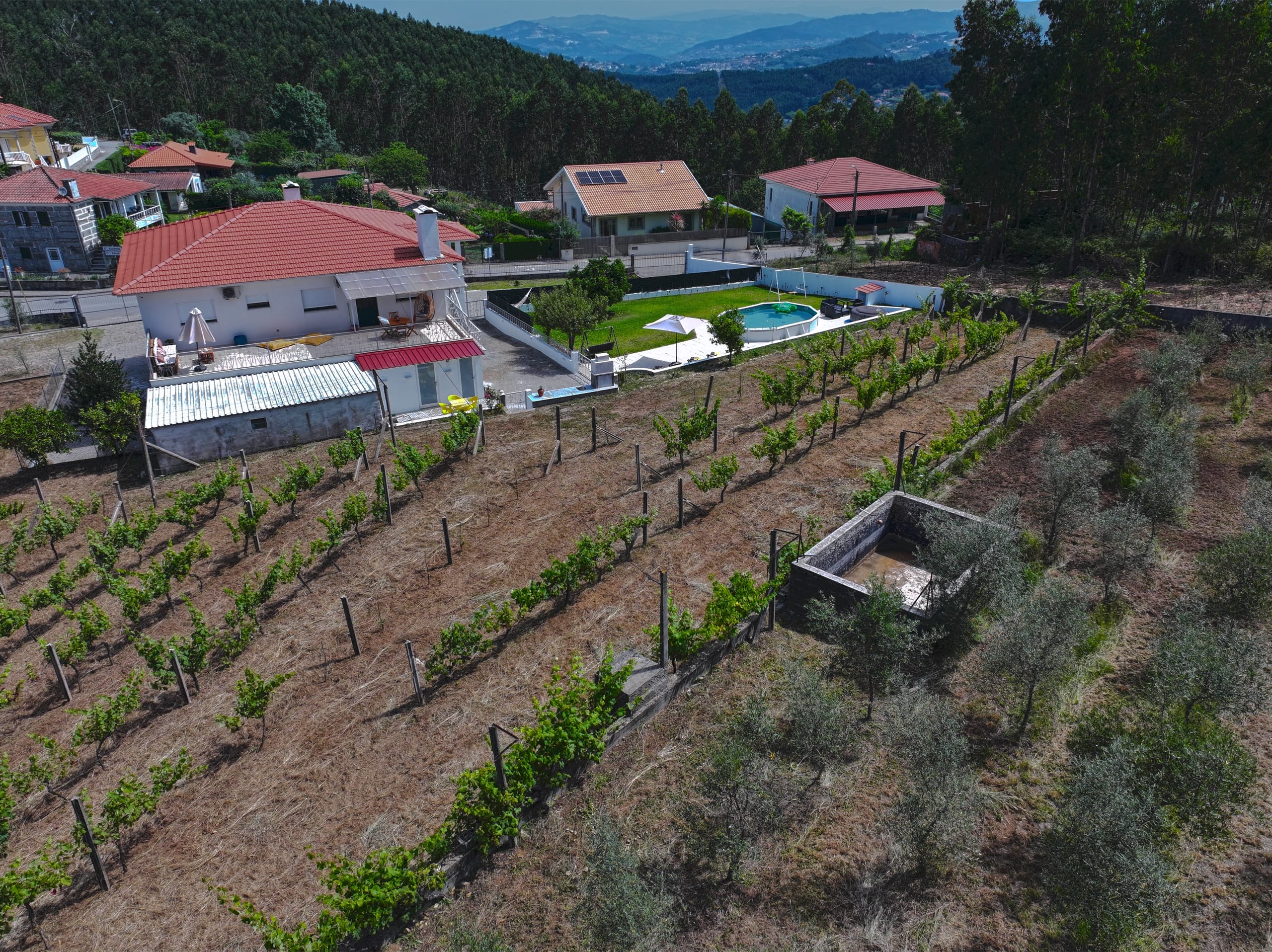 Vista aérea da Quinta do Valinho rodeada por vinhas e campo