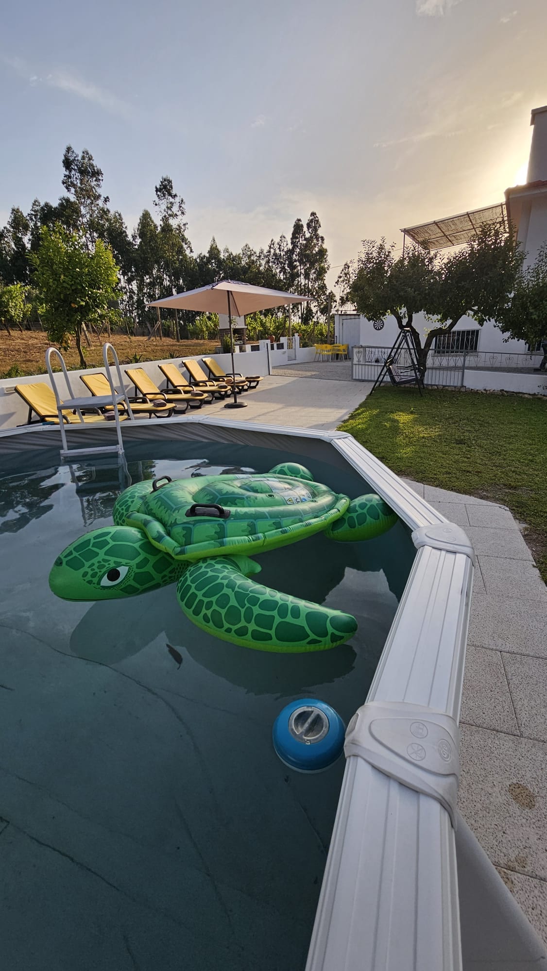 Piscina exterior da Quinta do Valinho com o jardim em redor