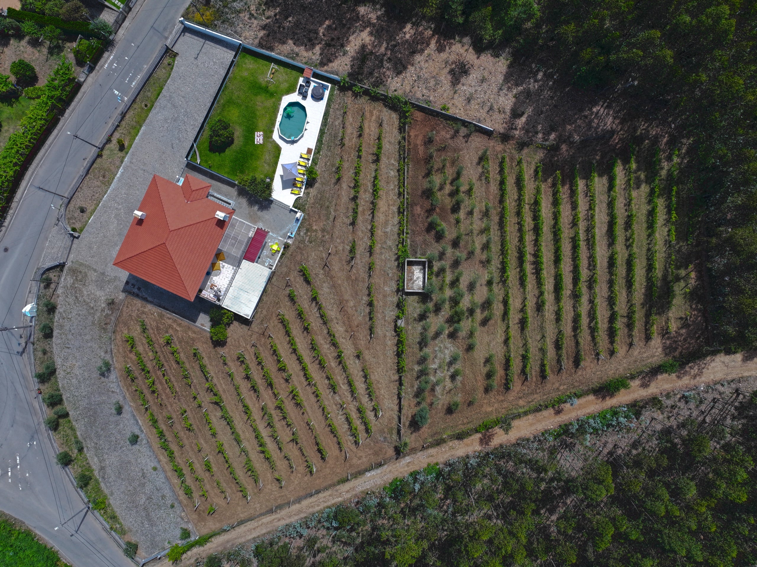 Vista aérea da Quinta do Valinho rodeada por vinhas e campo